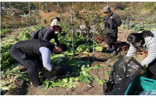 김용운 前 일운면장, (사)함께하는 우리마음에 직접가꾼 채소 후원