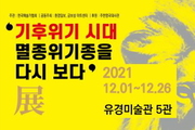 해금강테마박물관, 12월 1일부터 12월 26일까지
